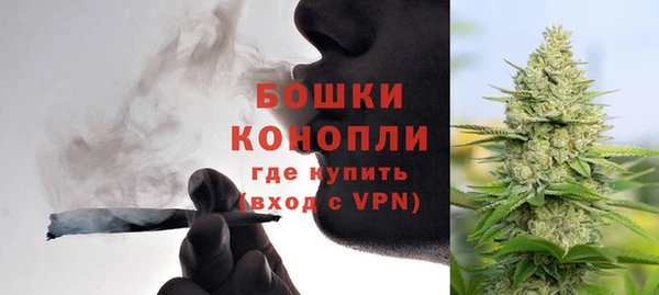 стафф Михайлов